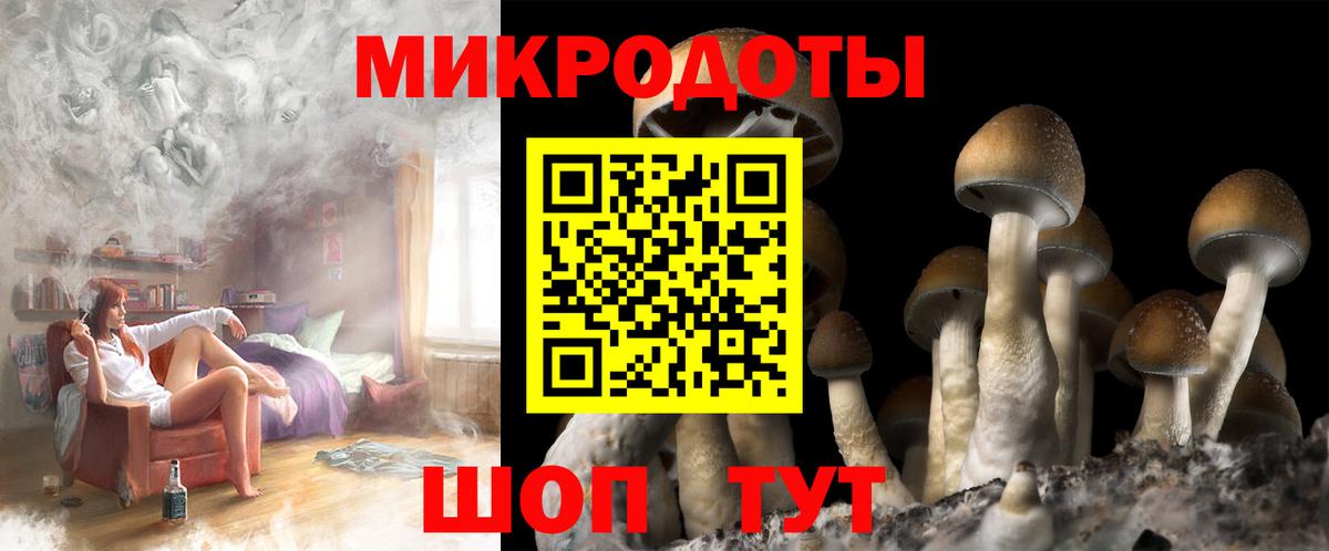 Галлюциногенные грибы мухоморы Грозный